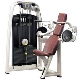 ARM EXTENSION SELECTION TECHNOGYM - Usato Ricondizionato