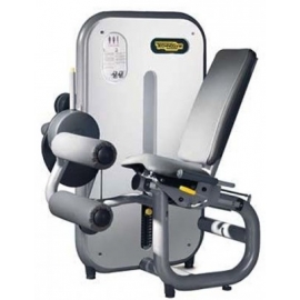 LEG CURL ELEMENT TECHNOGYM - Usato Ricondizionato